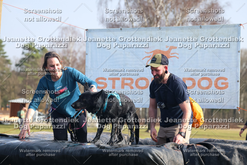 Dog Paparazzi - Strongdog North Mrz26-1701 | Dog Paparazzi Jeanette Grottendiek Fotografie & Videografie - Realisiert mit Pictrs.com