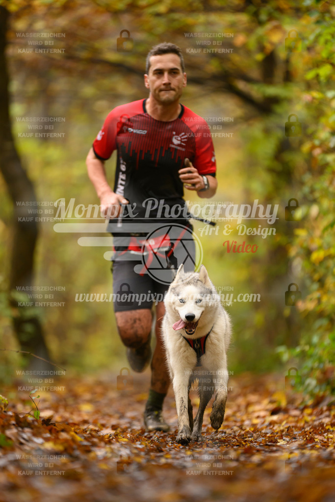 MompixPhotography_CD7S_DI_CCL-47 | mompixphotography