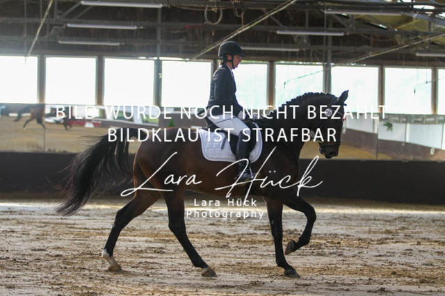 DKP45741 | larahueckfotografie