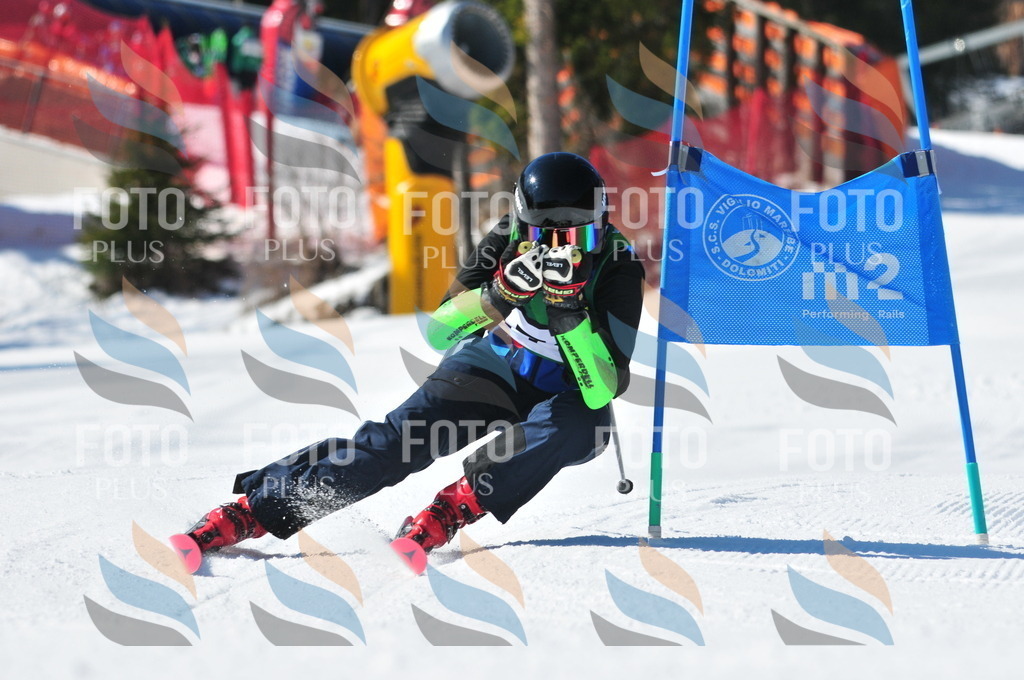 C4229 | holidayphoto