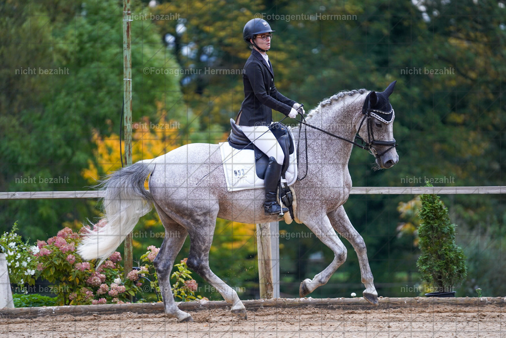 20221008-FAH00689 | Diessen am Ammersee, 2022, Dressur- und Springturnier, Reitsportbilder, Turnierfotografen Bayern, Pferdefotografen, Fotoagentur Herrmann, Turnierbilder