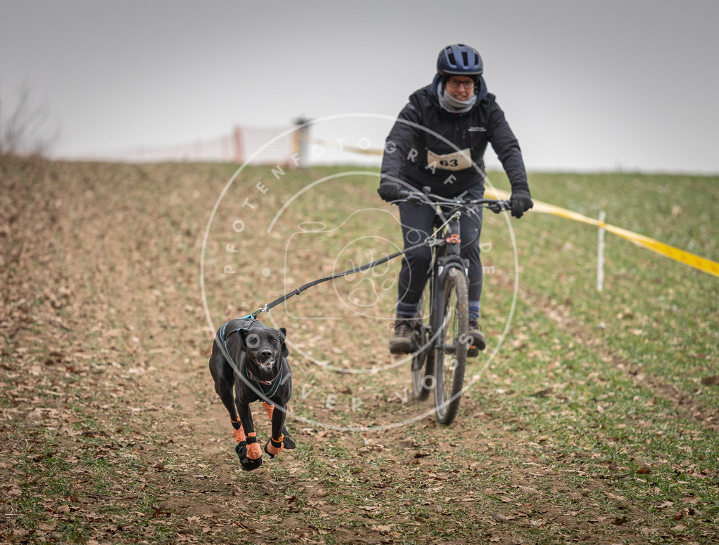 Pfotenfotografie_DV3A2732 | Hundefotografie, Tierfotograf, Pfotenfotografie, Fotoshooting Hund, Hunde Portrait, Hundesport, Hundeportraits, Heideshooting, Hunde, Sportfotograf, Hundefotograf, Turnierhundsport, THS,  - Realisiert mit Pictrs.com