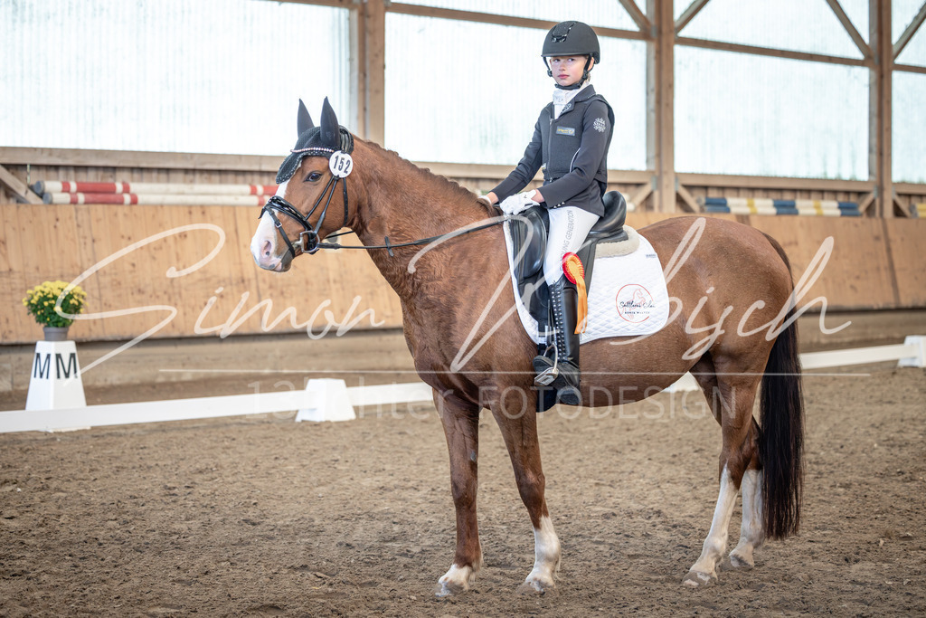 20251011-_3LI7189 | Tierfotografie Pferde, Hunde, Katzen, Haustiere.
Turnierfotografie Reitturniere, Reiten, Springreiten, Dressur in Hanau, dem Main-Kinzig-Kreis und dem Rhein-Main- Gebiet um Frankfurt