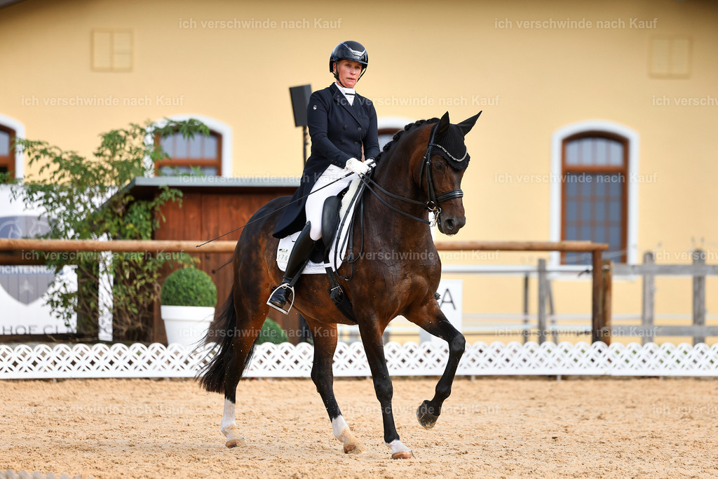 6-167-AMATUER-DRESSUR S_  -StoibPH-3415 | working equitationturnier fotograf videograf stoibphotography marixx film working equitation deutschland reitsport turnierfotografie eventfotografie equestrian events