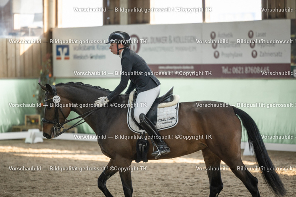 _D5A3095 | Emotionale Pferde- & People-Fotografie rund um Heidelberg, Leimen & Umgebung. Natürliche Fotos von Pferd, Mensch & Familie. Jetzt Termin sichern!