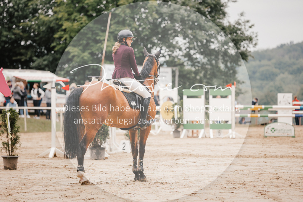 3I6A2193 | Stimmungsvolle Portraits und Reitsportfotografie im Ruhrgebiet und im Münsterland.

Pferdefotografie, Hundefotografie, Tierfotografie, Reportagen, Portraits von Tier und Mensch, Turnierfotografie in Bochum, Recklinghausen, Marl, Haltern am See, Dülmen.. - Realisiert mit Pictrs.com