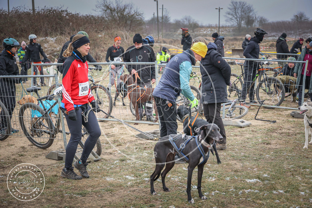 Pfotenfotografie_0L8A2200 | Hundefotografie, Tierfotograf, Pfotenfotografie, Fotoshooting Hund, Hunde Portrait, Hundesport, Hundeportraits, Heideshooting, Hunde, Sportfotograf, Hundefotograf, Turnierhundsport, THS,  - Realisiert mit Pictrs.com