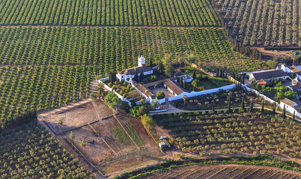 Vue aérienne: Hacienda de Clarevot entre les oliveraies à Alcalá de Guadaíra dans le département Séville, Espagne – .Photo: IMG_145719.jpg prise le 22/04/2025 par Werner Riehm/FLY-FOTO.eu – Résolution de l'original: 5472 x 3251 px – haciendadeclarevot.com