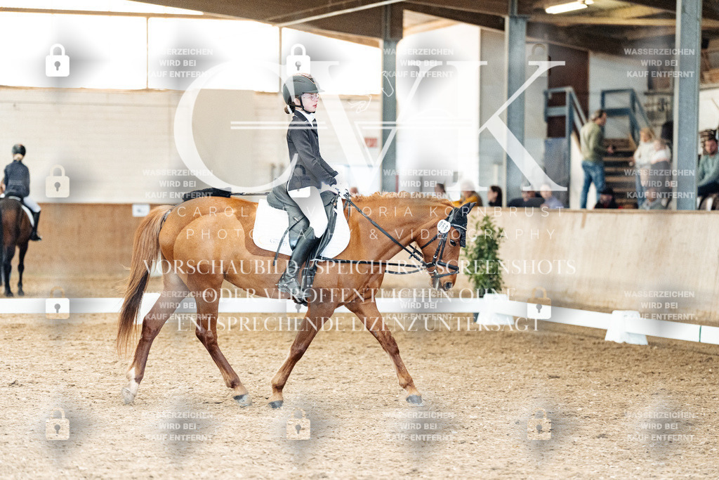 CK900322 | Turnierfotografie Pferdefotografie Trier Rheinland-Pfalz Pferdesport Reitsport Tierfotografie Sportfotografie Pferdevideo Pferdevideografie Equestrianvideography equestrianphotography  - Realisiert mit Pictrs.com