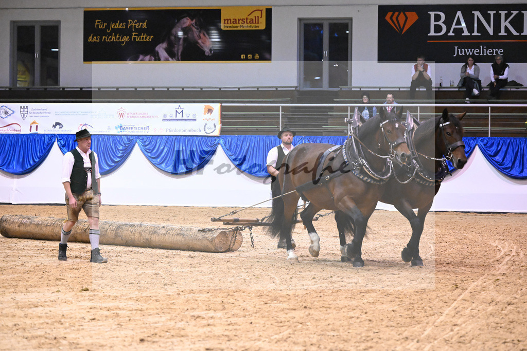 Schauprogramm_54222513 | hf-fotografie - Realisiert mit Pictrs.com