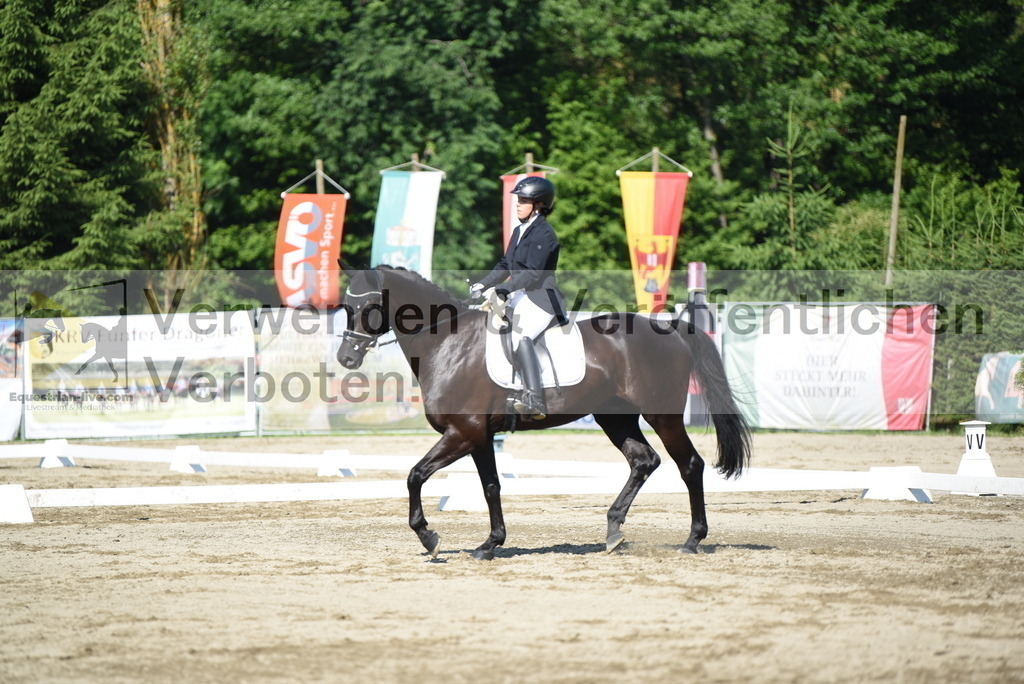 DSC_7507 | equestrian-live-com