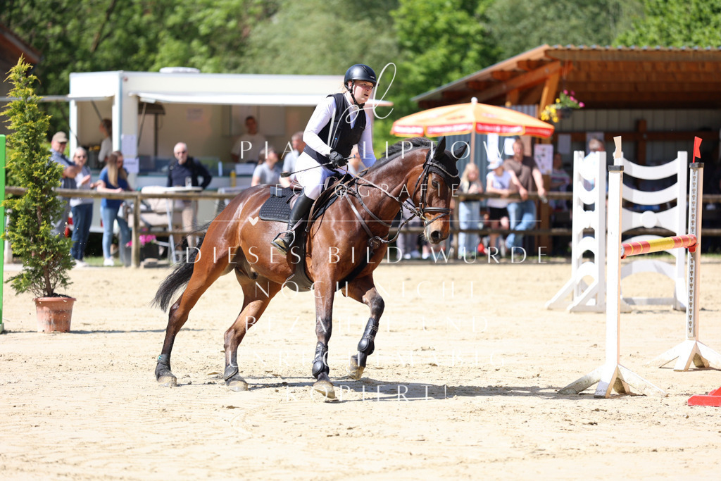 IMGS8806 | pl-fotografie