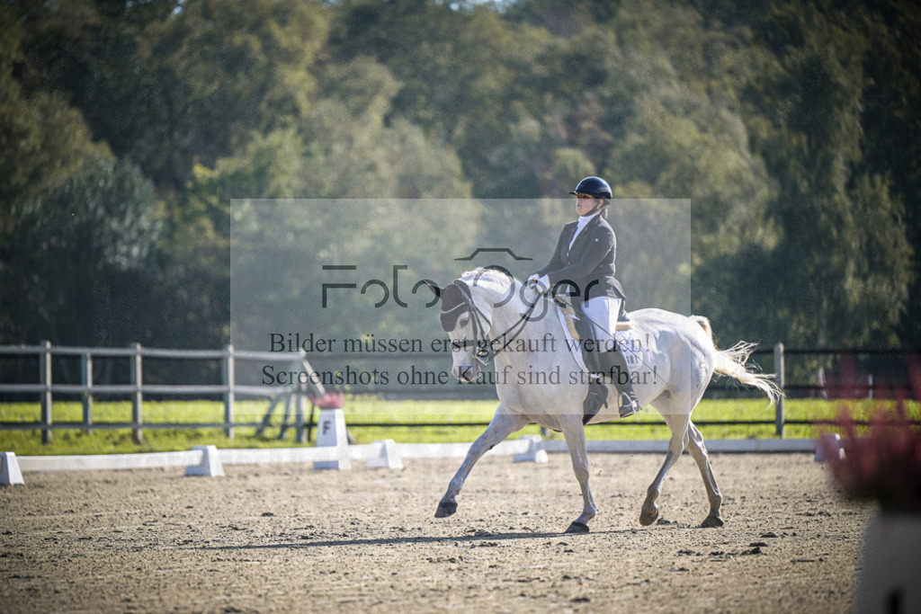 DOS_0312 | Entdecke hochwertige Reitturnierfotos von Foto Oger. Professionell, emotional und authentisch – jetzt Lieblingsmomente im Shop bestellen.Deutschlandweite Turnierfotografie. - Realisiert mit Pictrs.com