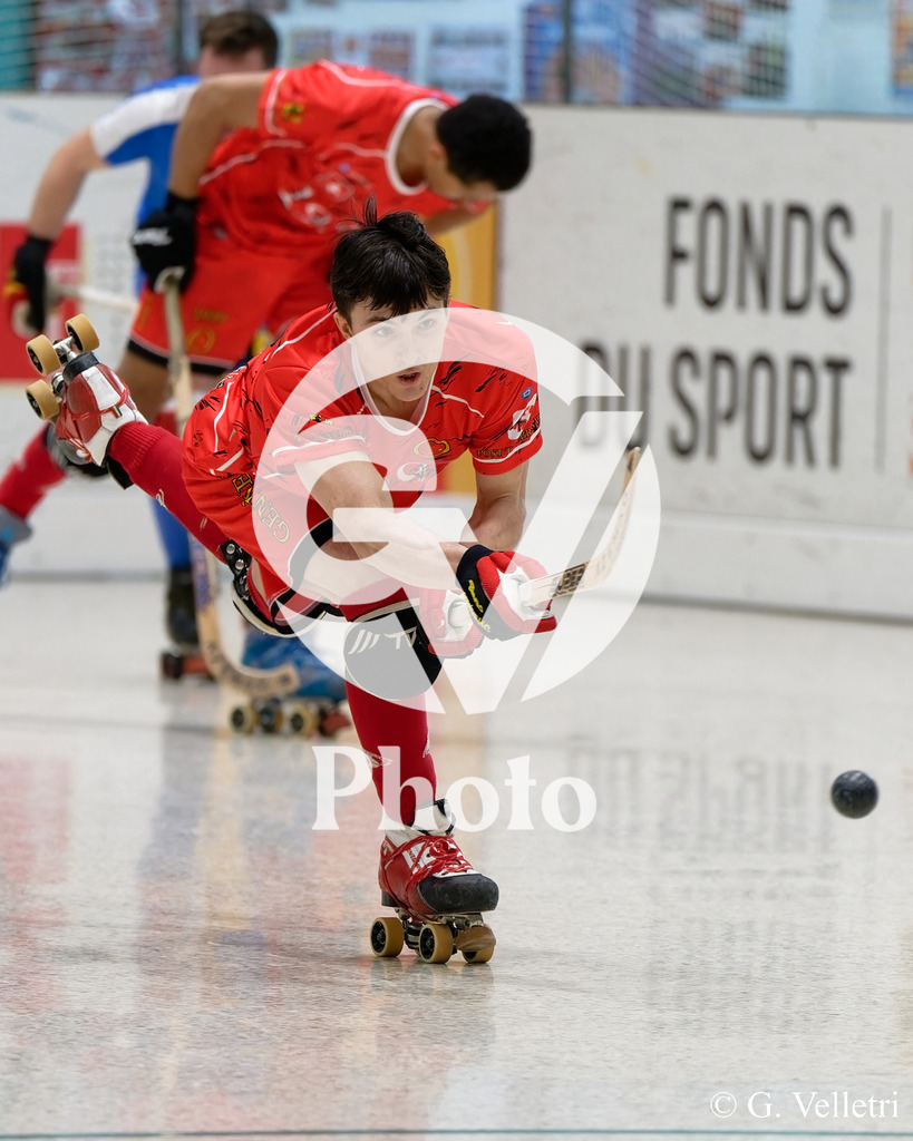 DSC_6700 | Velletri Photo