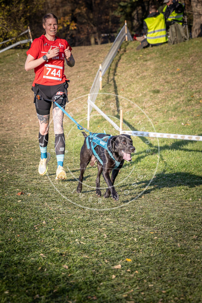 CaniXpix_0L8A9892 | Hundefotografie, Tierfotograf, Pfotenfotografie, Fotoshooting Hund, Hunde Portrait, Hundesport, Hundeportraits, Heideshooting, Hunde, Sportfotograf, Hundefotograf, Turnierhundsport, THS,  - Realisiert mit Pictrs.com