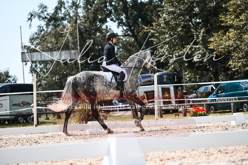 DSC_5599 | Pferde- und Turnierfotografie in Westsachsen. Pferdeportraits, Auftragszeichnungen und intuitive Kunst.