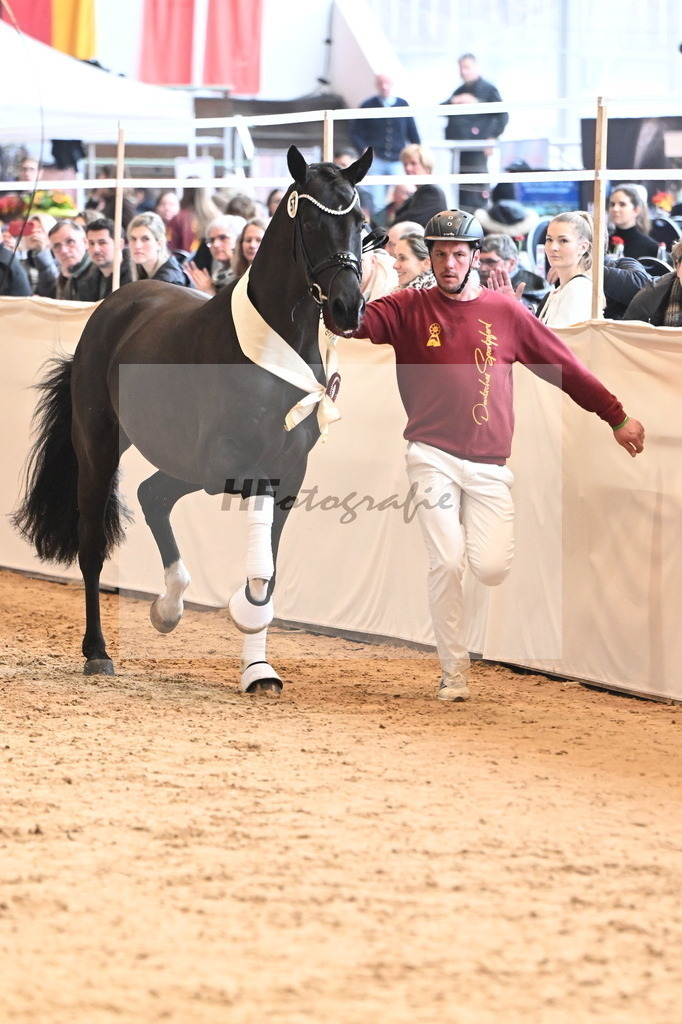 Kat.-Nr. 57 v. Feliciano_Vavrikova_3265658 | hf-fotografie - Realizzato con Pictrs.com