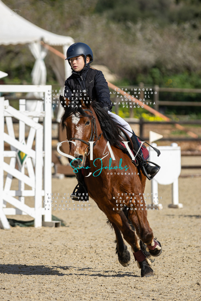 IMG_5993 | s-jay-photography - Realisiert mit Pictrs.com