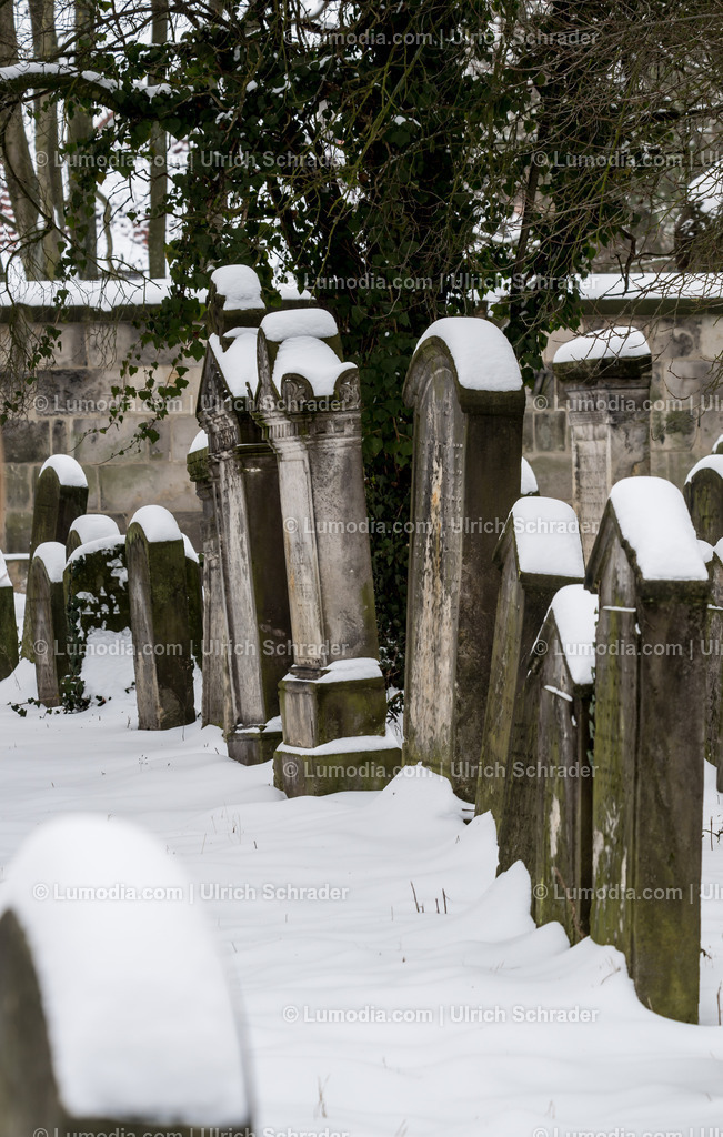 100494-3555 - Jüdischer Friedhof in Halberstadt | max. Bildgröße A2 | 300dpi - Realisiert mit Pictrs.com