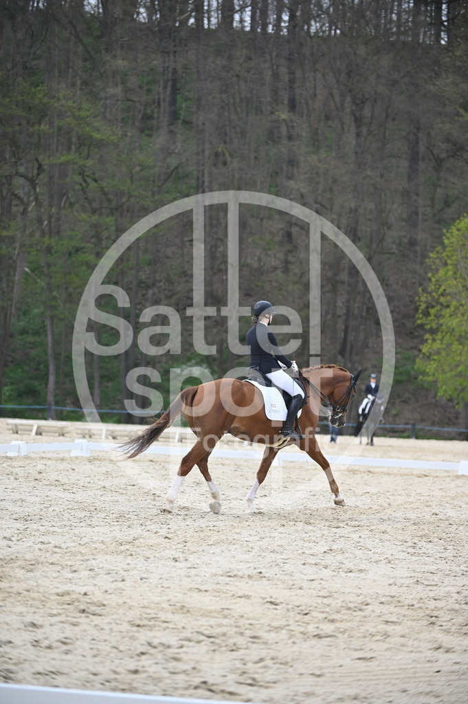 DSC_5126 | sattelsport - Realisiert mit Pictrs.com