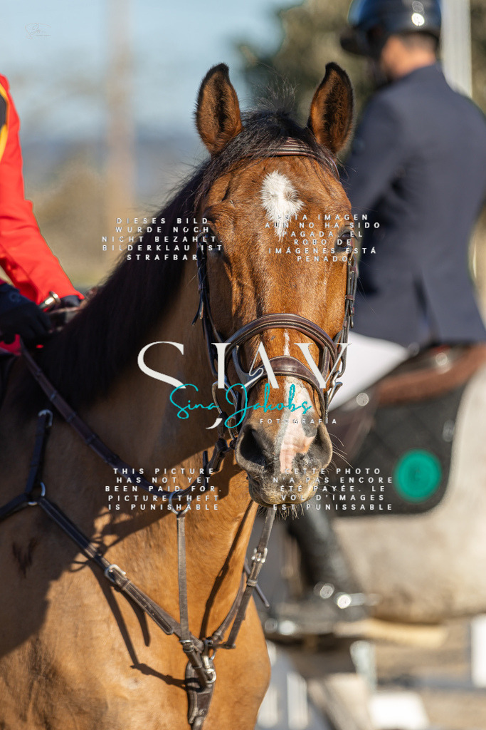 IMG_2312 | s-jay-photography - Realisiert mit Pictrs.com