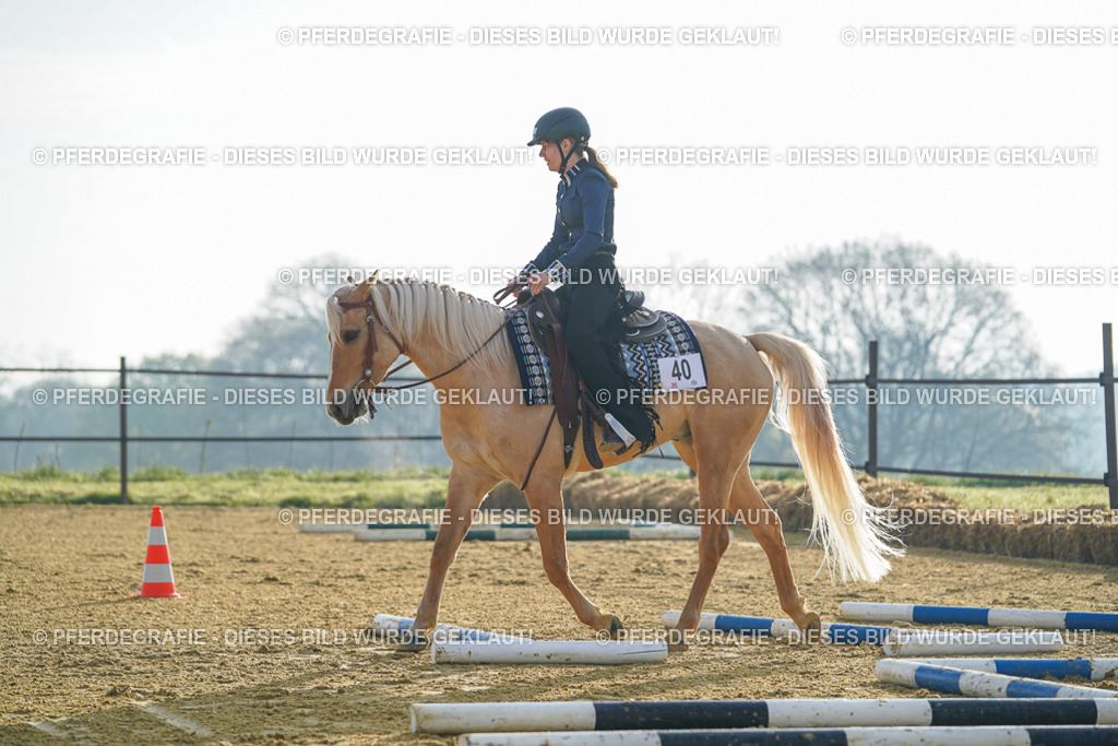 DSC09978 | Pferdegrafie