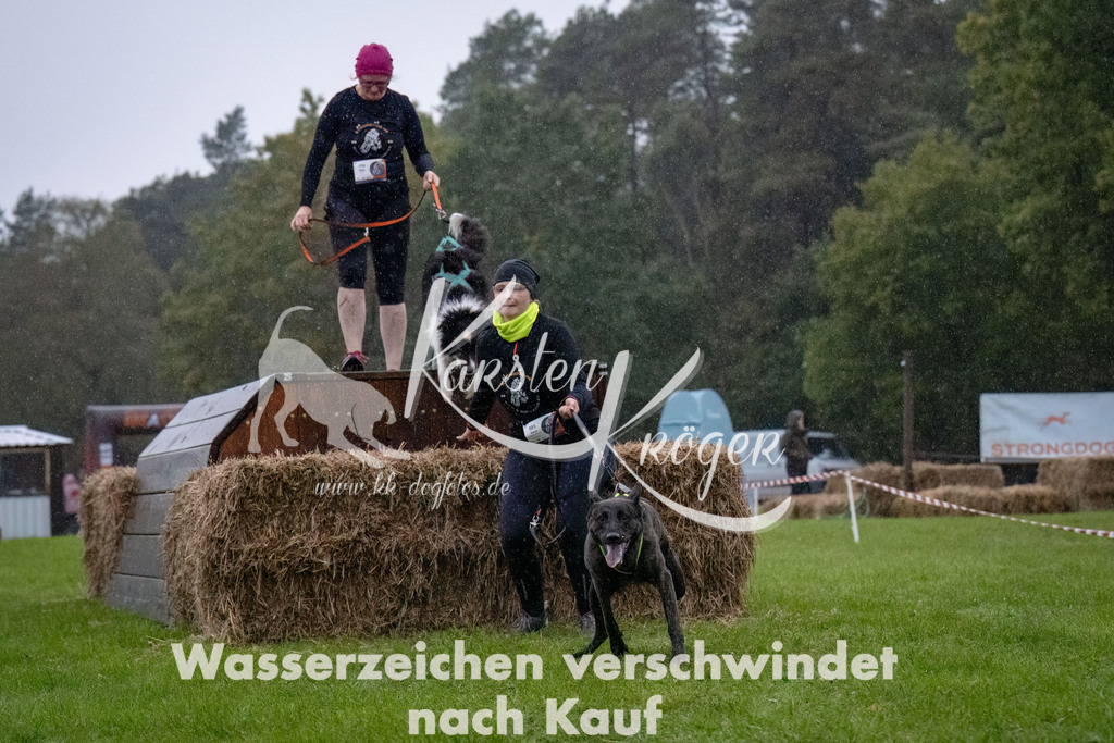 0829-_ZZ91440-Bearbeitet | kk-dogfotos