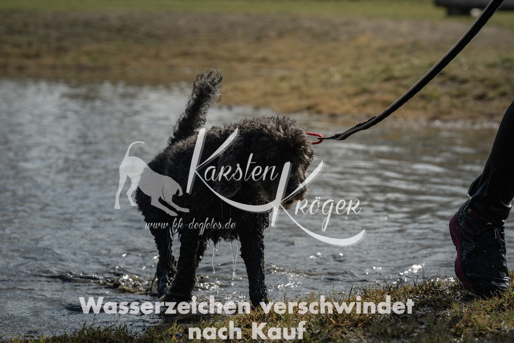 1225_ZZ99661 | kk-dogfotos