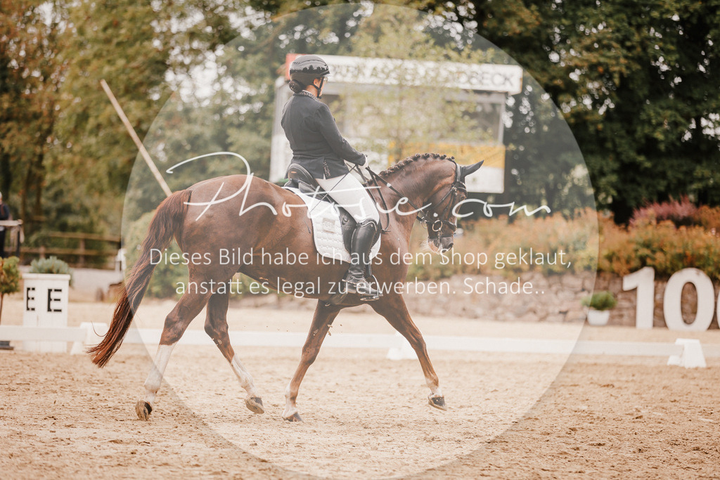 3I6A5862 | Stimmungsvolle Portraits und Reitsportfotografie im Ruhrgebiet und im Münsterland.

Pferdefotografie, Hundefotografie, Tierfotografie, Reportagen, Portraits von Tier und Mensch, Turnierfotografie in Bochum, Recklinghausen, Marl, Haltern am See, Dülmen.. - Realisiert mit Pictrs.com