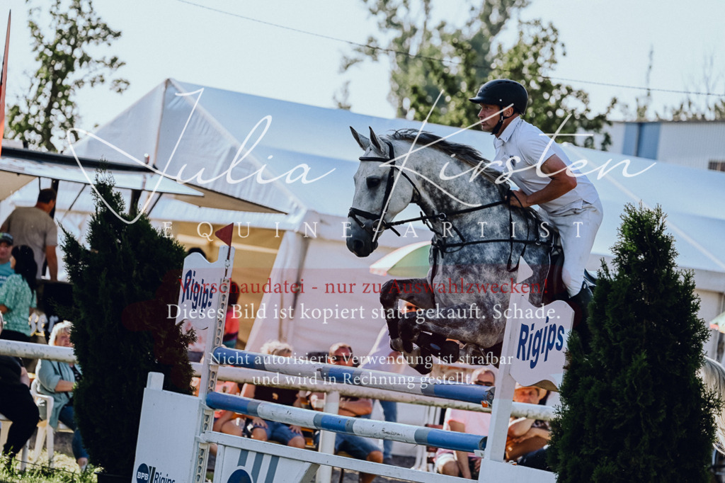 DSC_3052 | Pferde- und Turnierfotografie in Westsachsen. Pferdeportraits, Auftragszeichnungen und intuitive Kunst.
