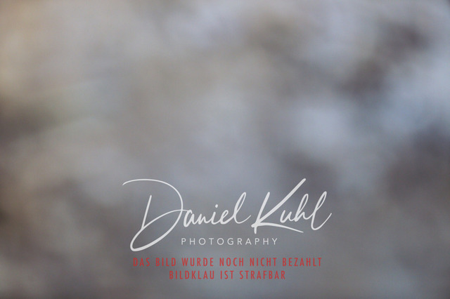 IMG_2902 | Turniersportfotografie; Pferdefotografie; Dressurfotografie