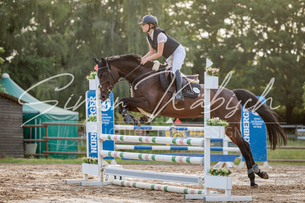 20260529-_3LI1711 | Tierfotografie Pferde, Hunde, Katzen, Haustiere.
Turnierfotografie Reitturniere, Reiten, Springreiten, Dressur in Hanau, dem Main-Kinzig-Kreis und dem Rhein-Main- Gebiet um Frankfurt