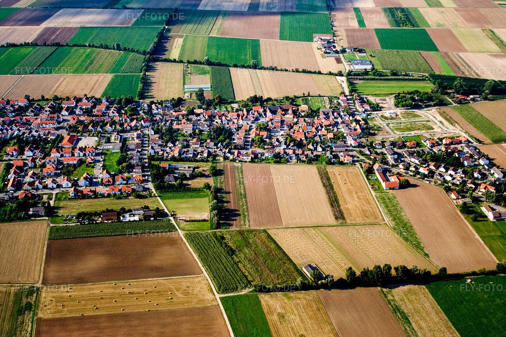 Luftbild: Ortsansicht aus Süden im Ortsteil Rödersheim in Rödersheim-Gronau im Bundesland Rheinland-Pfalz in Deutschland. Foto: IMG_12674.jpg vom 17.08.2008 durch Werner Riehm/FLY-FOTO.de