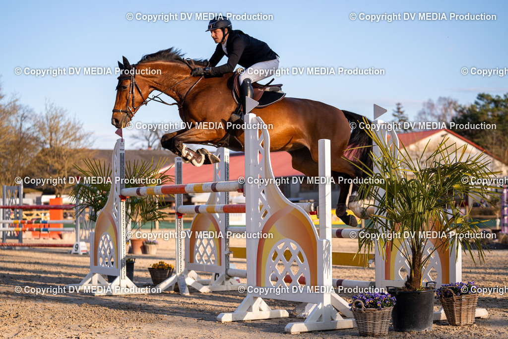 Kranichstein Tag 2-1070 | dv-media-shop - Realisiert mit Pictrs.com