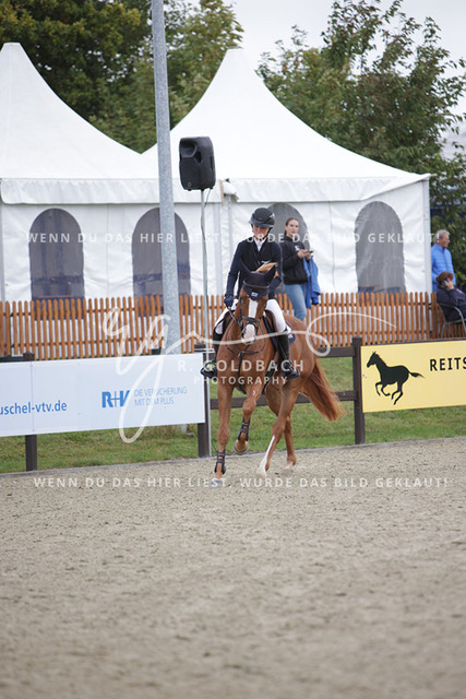1J2A9845Pheline Ahlmann_ Constanzehof_s Faust Mephisto_ Kn275_ Havekost | Foto- und Videografie für alles rund ums Pferd. Hochwertige Bilder und Videos vom Spring- und Dressurreiten, Voltigieren & mehr. Jetzt aktuelle Veranstaltungen und Preise im Shop ansehen. - Realisiert mit Pictrs.com