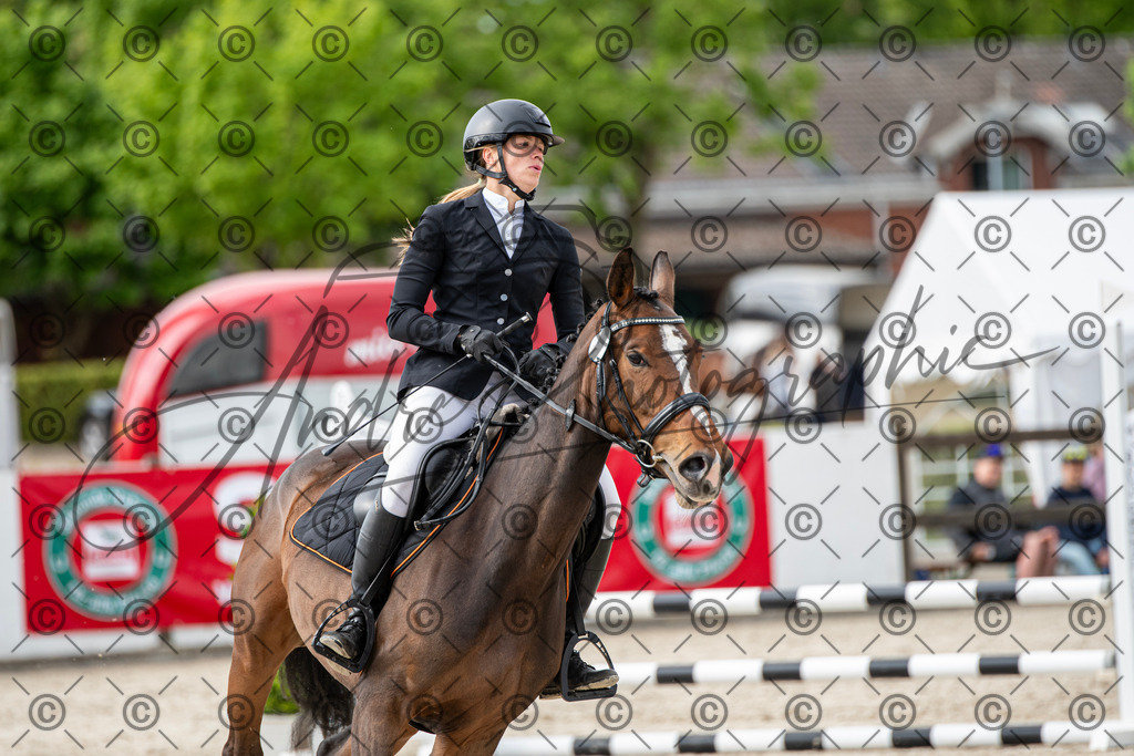 KPT_6554 | andre_photographic