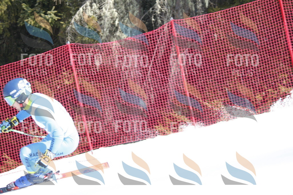 D7319 | holidayphoto