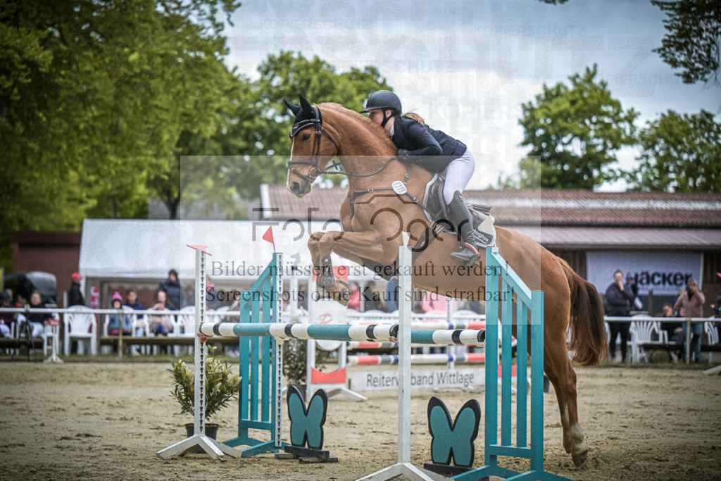 DOS_6330 | Entdecke hochwertige Reitturnierfotos von Foto Oger. Professionell, emotional und authentisch – jetzt Lieblingsmomente im Shop bestellen.Deutschlandweite Turnierfotografie. - Realisiert mit Pictrs.com