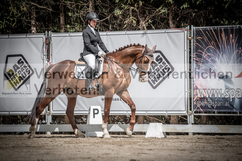 DSC_2990 | equestrian-live-com