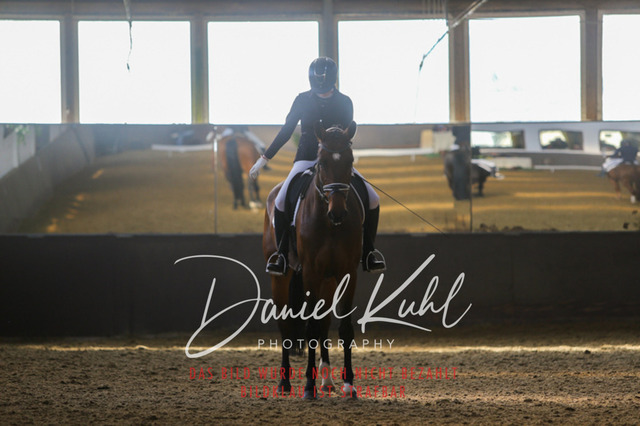IMG_2444 | Turniersportfotografie; Pferdefotografie; Dressurfotografie