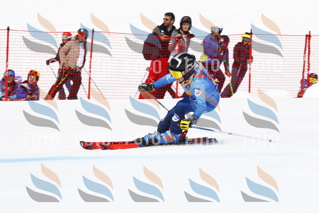 _U3G4718 | holidayphoto