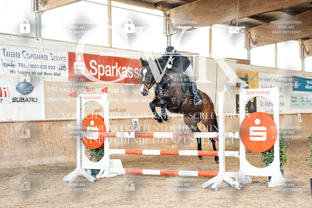 CK905363 | Turnierfotografie Pferdefotografie Trier Rheinland-Pfalz Pferdesport Reitsport Tierfotografie Sportfotografie Pferdevideo Pferdevideografie Equestrianvideography equestrianphotography  - Realisiert mit Pictrs.com