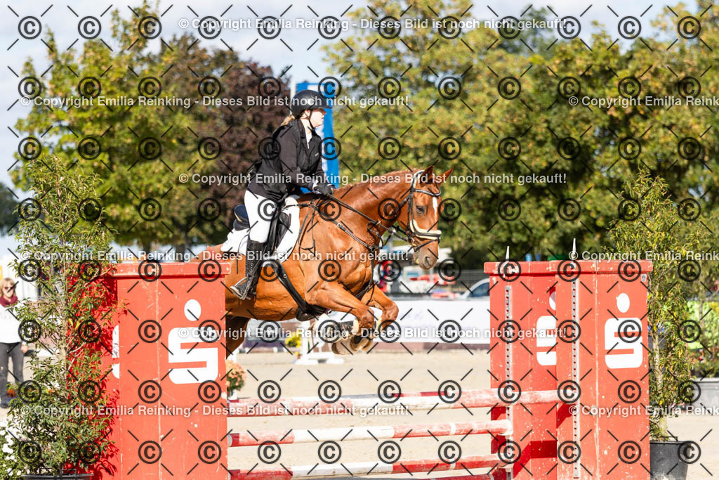 CL5A4140 | Emilia Reinking Fotografie - Realisiert mit Pictrs.com