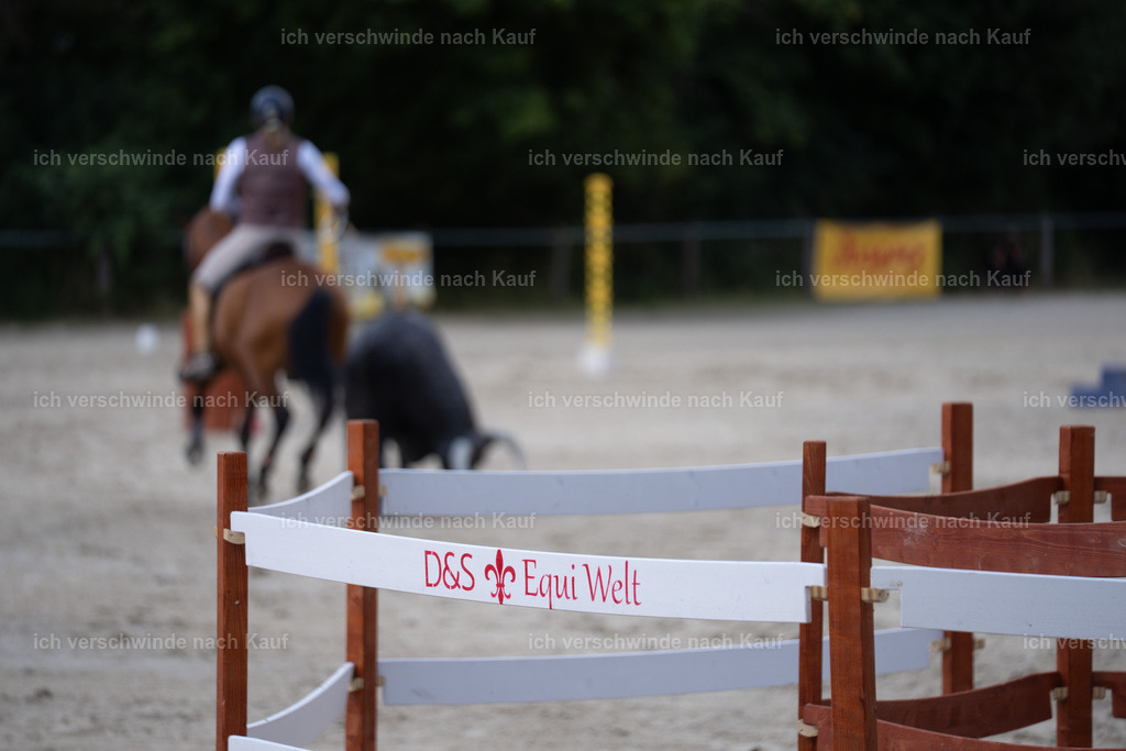WS_SP_62_SinaFilmArt_IN08139 | working equitationturnier fotograf videograf stoibphotography marixx film working equitation deutschland reitsport turnierfotografie eventfotografie equestrian events
