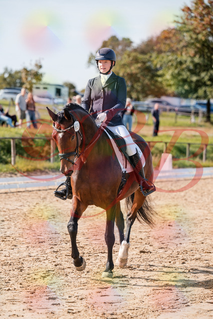 2026_10_03_Siefer-Hof_125337_Z63_61538353 | Professionelle Reitsport-, Turnier- und Eventfotografie von Robert Broda. Galerien mit ausgewählten und bearbeiteten Bildern direkt online ansehen und bestellen.