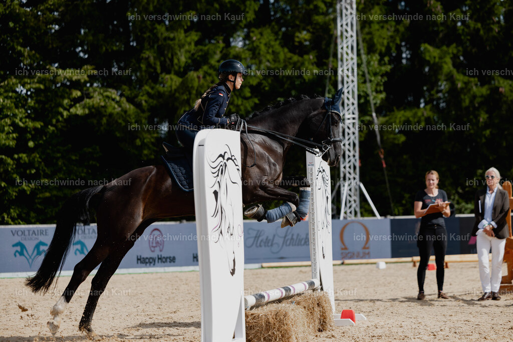 Leonie24_FHC2025-44 | working equitationturnier fotograf videograf stoibphotography marixx film working equitation deutschland reitsport turnierfotografie eventfotografie equestrian events