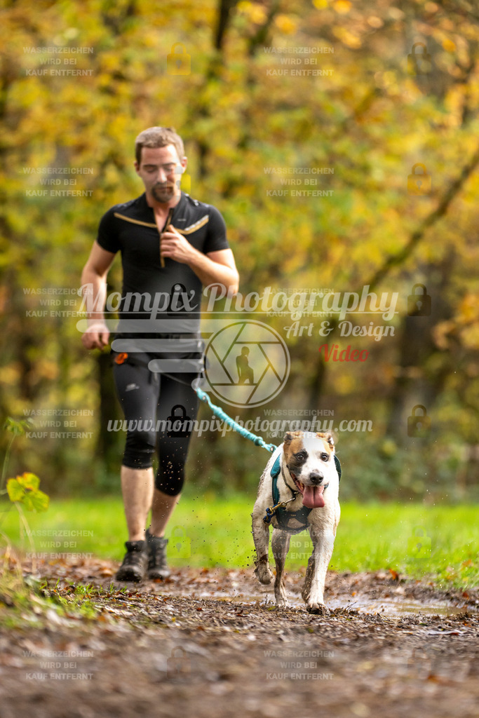 MompixPhotography_Bischwiller23_Canicross-137 | PayLife