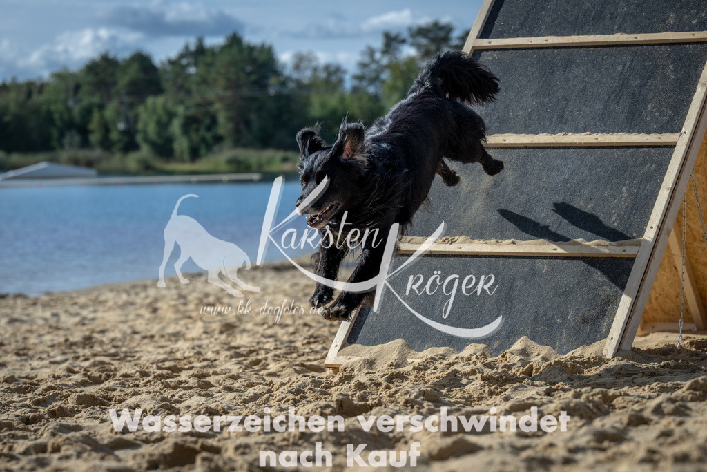 1435_ZZ91614 | kk-dogfotos