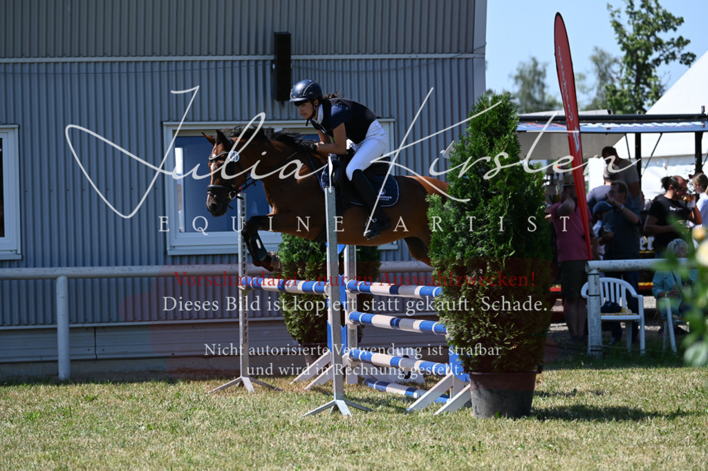 DSC_0829 | Pferde- und Turnierfotografie in Westsachsen. Pferdeportraits, Auftragszeichnungen und intuitive Kunst.