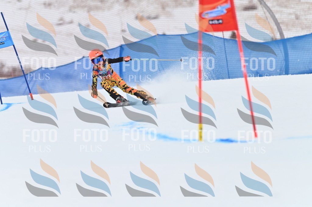 BGV_9441 | holidayphoto